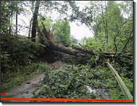 T07 - Unwetter_Sölsnitzstraße_Feuerwehr St.Marein Mzt_05082018_01