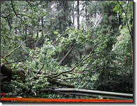 T07 - Unwetter_Sölsnitzstraße_Feuerwehr St.Marein Mzt_05082018_02