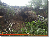 T07 - Unwetter_Sölsnitzstraße_Feuerwehr St.Marein Mzt_05082018_08