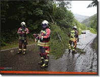 T01 - Techn Hilfeleistung_Feuerwehr St.Marein Mzt_19062019_01