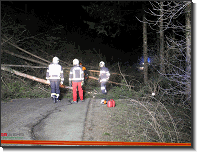 T07 - Graschnitzgraben_Feuerwehr St.Marein Mzt_23022020_06