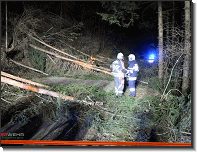 T07 - Graschnitzgraben_Feuerwehr St.Marein Mzt_23022020_07