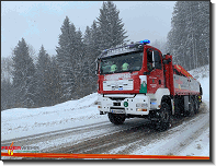 T03 - LKW Bergung L123_Feuerwehr St. Marein Mzt_28022020_05