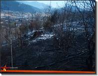 B09 - Waldbrand Kapfenberg - Hafendorf_Feuerwehr St.Marein Mzt_13042020_11