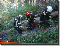 Monatsübung August_Feuerwehr St.Marein Mzt_08082020_06