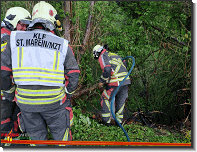 B02 - Kleinbrand_Mürzzeile_Feuerwehr St.Marein Mzt_03062021_02