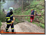 Monatsübung August_Jagaalm_Feuerwehr St.Marein Mzt_13082022_03