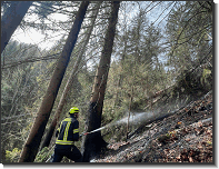 B09 - Waldbrand_St.Lorenzen Mzt_Feuerwehr St.Marein Mzt_01042024_04