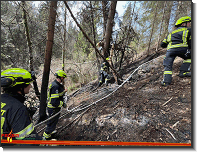 B09 - Waldbrand_St.Lorenzen Mzt_Feuerwehr St.Marein Mzt_01042024_12