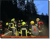 B09 - Waldbrand_Wildalpen_Feuerwehr St.Marein Mzt_01042024_06