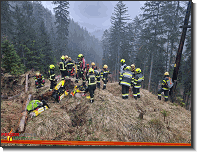 B09 - Waldbrand_Wildalpen_Feuerwehr St.Marein Mzt_01042024_10