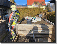 WhatsApp Image 2026-02-03 at 11.00.311