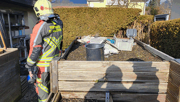 WhatsApp Image 2026-02-03 at 11.00.311