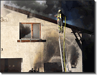 WhatsApp Image 2026-02-05 at 23.18.454