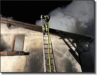 WhatsApp Image 2026-02-05 at 23.18.466