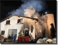 WhatsApp Image 2026-02-05 at 23.18.487