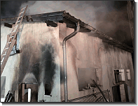 WhatsApp Image 2026-02-06 at 09.24.374