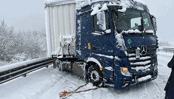 WhatsApp Image 2026-02-20 at 10.10.56 (1)