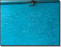 WhatsApp Image 2026-03-22 at 16.42.59