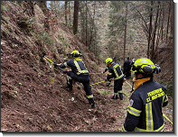 WhatsApp Image 2026-04-11 at 19.13.40