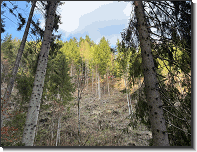 WhatsApp Image 2026-04-11 at 19.13.45