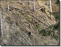 WhatsApp Image 2026-04-11 at 19.13.46 (1)