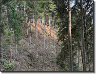 WhatsApp Image 2026-04-11 at 19.13.46 (2)