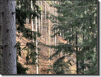 WhatsApp Image 2026-04-11 at 19.13.46