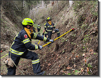 WhatsApp Image 2026-04-11 at 19.13.47 (1)