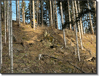 WhatsApp Image 2026-04-11 at 19.13.47